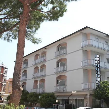 酒店 白湾酒店 3*